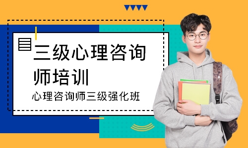 心理咨询师三级强化班
