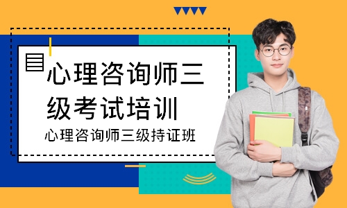 心理咨询师三级持证班
