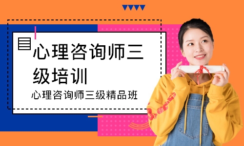 心理咨询师三级精品班