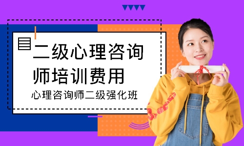 心理咨询师二级强化班