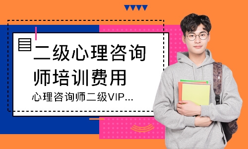 心理咨询师二级VIP班