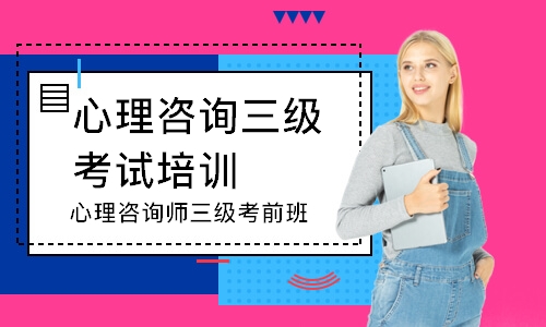 心理咨询师三级考前班
