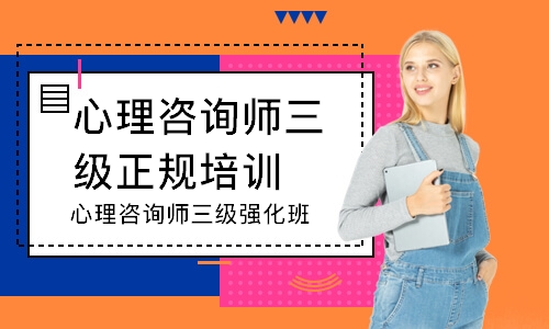 心理咨询师三级强化班