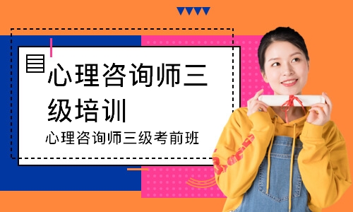 心理咨询师三级考前班