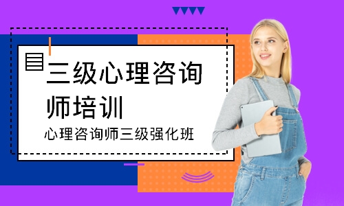 心理咨询师三级强化班