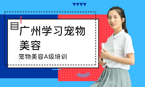 广州学习宠物美容