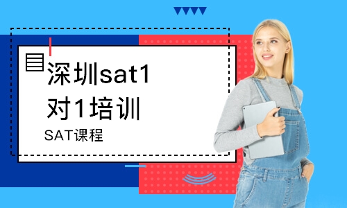 深圳sat1对1培训班