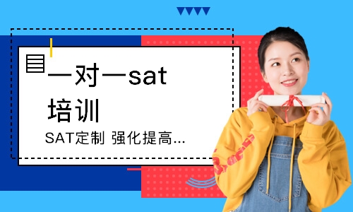 大连一对一sat培训学校