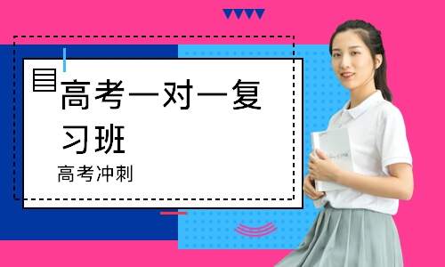 成都高考一对一复习班