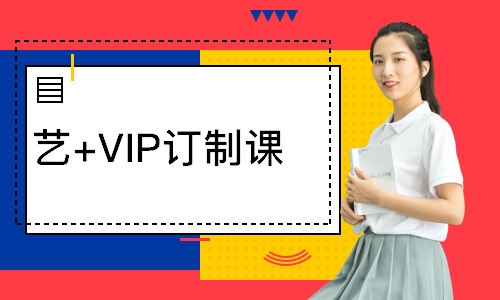 艺考表演VIP订制课