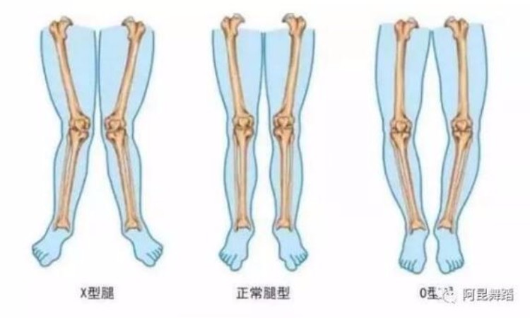 舞蹈科学