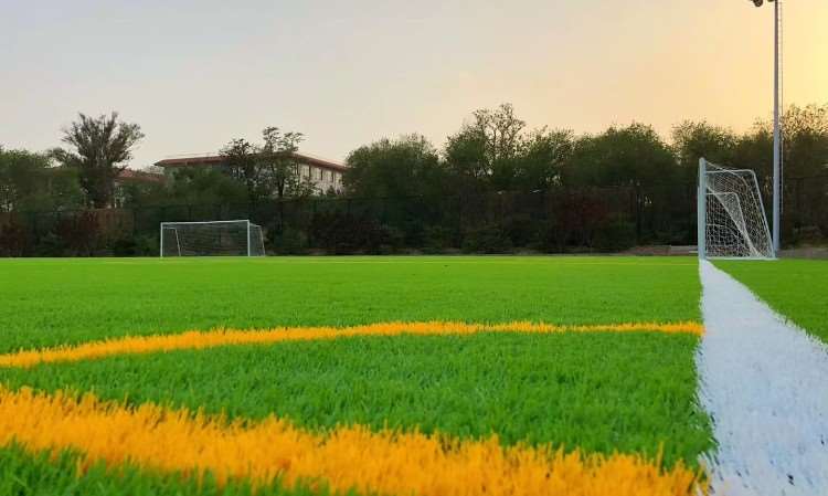 场馆环境-田村