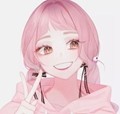 傻猪猪