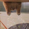 紫紫葡萄