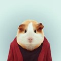 让一切随风