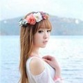 娇羞桑是女王攻