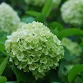 告别曾经1