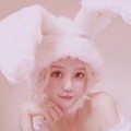 菲菲呀i