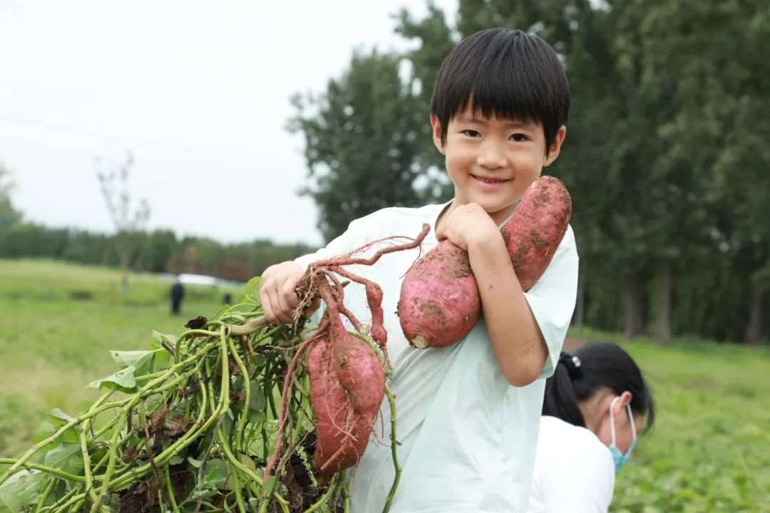 西安小学生素质夏令营