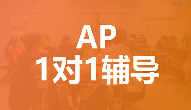 AP个性化1对1课程