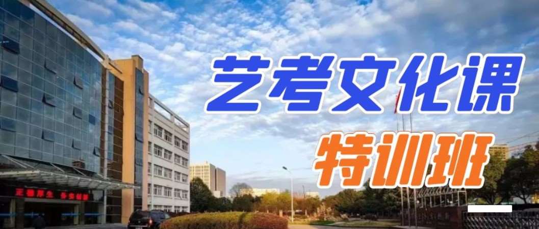 杭州高三艺术生文化课冲刺