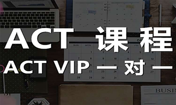 ACT VIP一对一课程