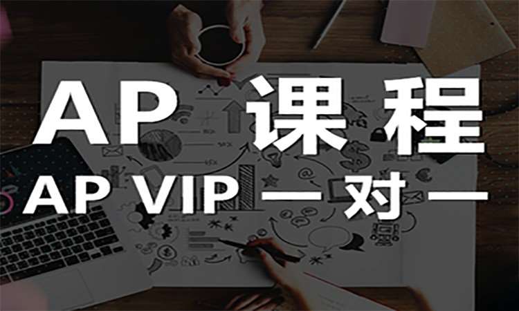 AP VIP一对一课程