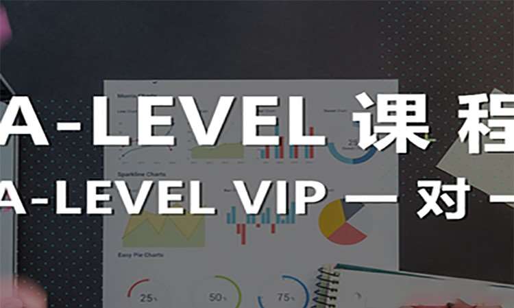 A-LEVEL VIP一对一课程