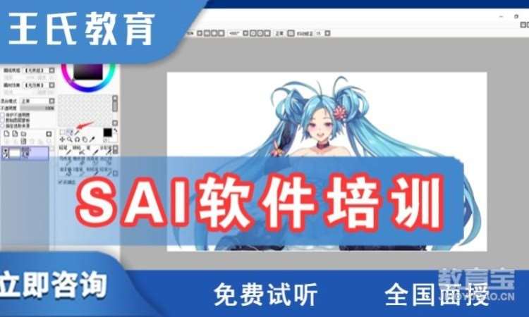 sai软件培训