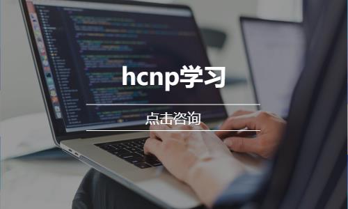 hcnp学习