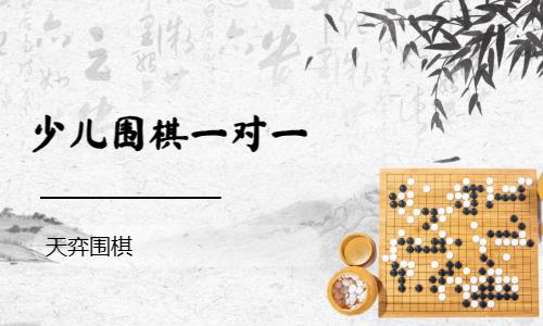 少儿围棋一对一