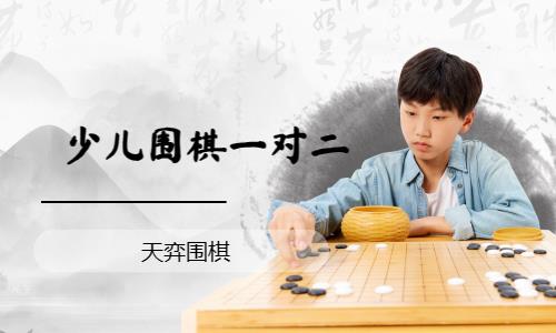 少儿围棋一对二