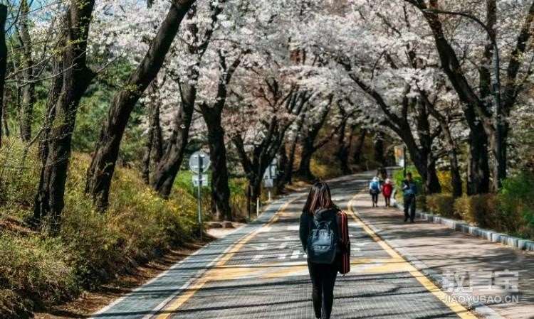 韩国留学