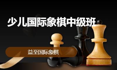 少儿国际象棋中级班