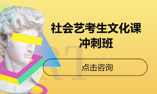 社会艺考生文化课冲刺班