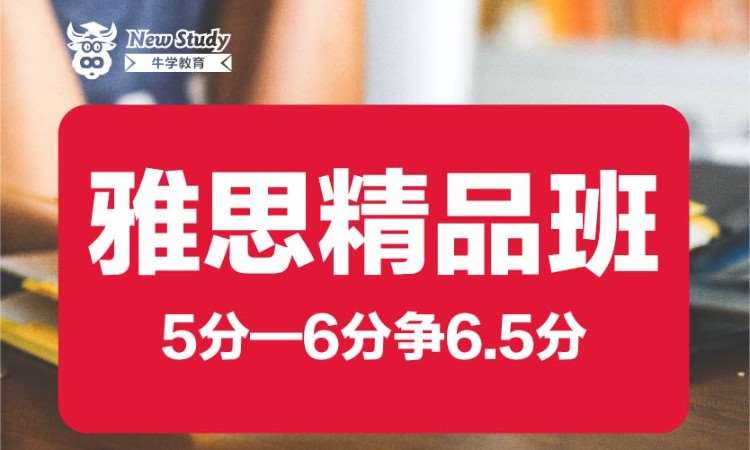 雅思5分——6分争6.5分精品班