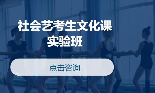 社会艺考生文化课实验班