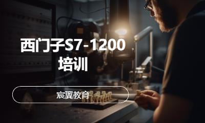 西门子S7-1200培训