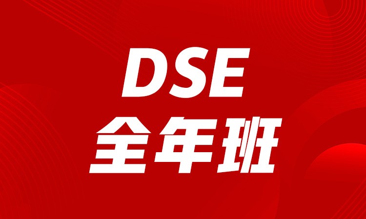 DSE全年班