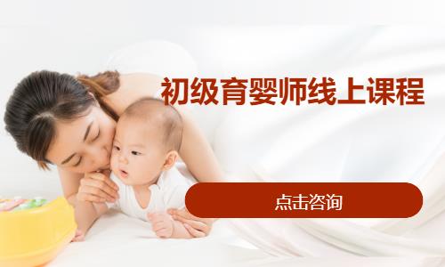 初级育婴师线上课程