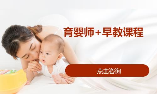 育婴师+早教课程