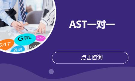 AST一对一