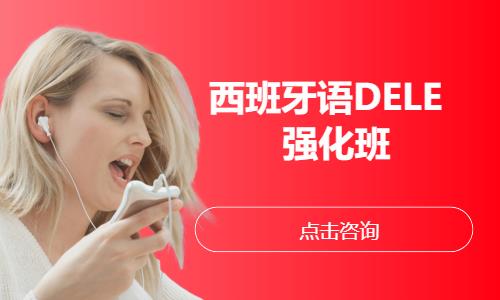 西班牙语DELE        强化班