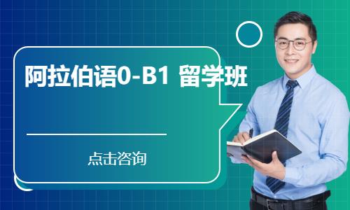 阿拉伯语0-B1  留学班