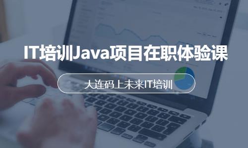 IT培训Java项目在职体验课