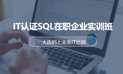 IT认证SQL在职企业实训班