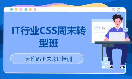 IT行业CSS周末转型班