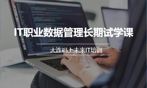 IT职业数据管理长期试学课