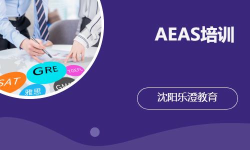 AEAS培训一对一