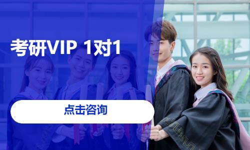 考研VIP 1对1